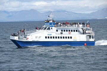 Whale Watching Tour from Akureyri City Central