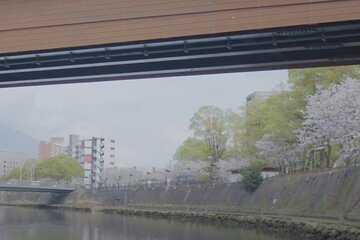 Shochu and Sake Cruise on the Kotsuki River with Cherry Blossoms