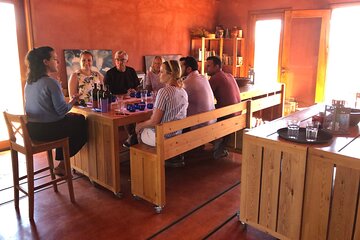 WIne & Olive Oil Tasting in an Organic Farm in Laconia, Greece!