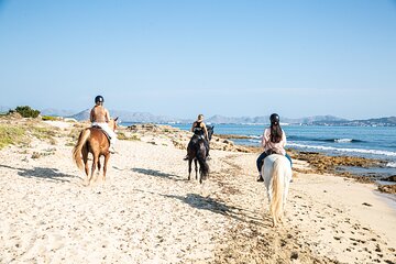 3-Hour Beach Horse Riding to Discover the Beauty of Alcudia Bay