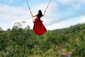 Aloha Swing : Exhilarating The Best Swing Experience in Ubud