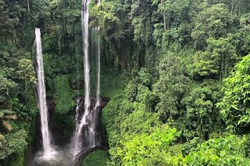 Discover Sekumpul and Banyumala Waterfall Adventure Tour