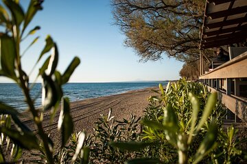 Ancient Olympia & Kourouta Beach - All Included Tour