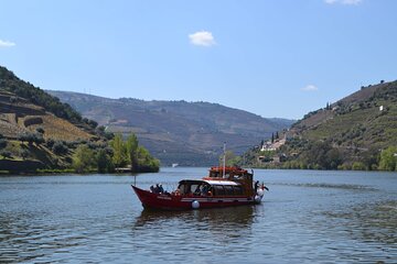 Douro Valley Tour: 2 Vineyard Visits, River Cruise, Winery Lunch