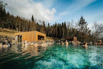 Cruise Tour Godafoss Turf Houses and Forest Baths Small Group