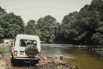 Dudhsagar Falls Private Day Tour From South Goa