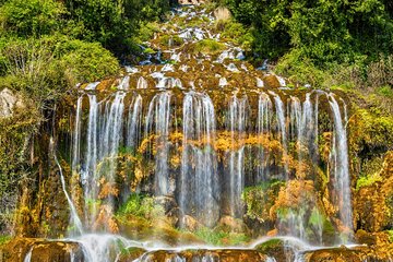 Caserta Private 8 hours Tour from Naples