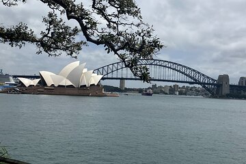 Sydney Half Day Luxury Private Tour 