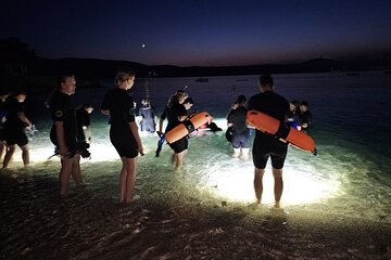 Nightsnorkeling