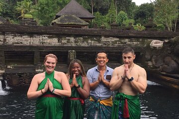 Best Of Ubud Highlights Private Tour