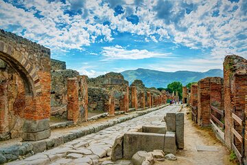 Pompeii, Herculaneum and Wine Tasting - Private Tour