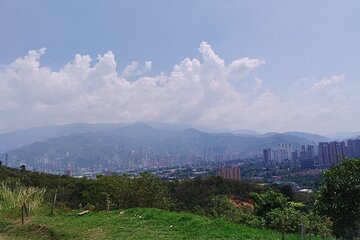 Coffee tour Medellin 