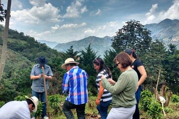 Private Half-Day Coffee Tour at Family Farm Close to Medellín!