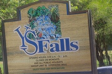 Private YS Falls and Black River Safari from Montego Bay