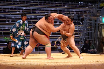 A-Class Seats Sumo Tournament Experience | Tokyo Sep 2024 