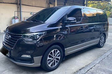 Arrival Transfer Medellin Airport MDE to Medellin City by Minivan