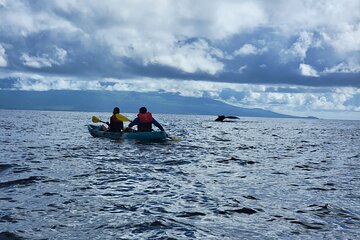 Guided Kayak and Snorkeling Tour - Olowalu 