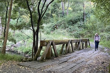 Daylesford Goldfields Track Walking and Wellness Experience