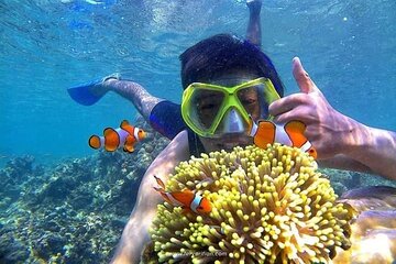 Bali : Blue Lagoon Snorkeling - All inclusive