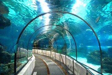 Grand Aquarium with Transfer from Hurghada 