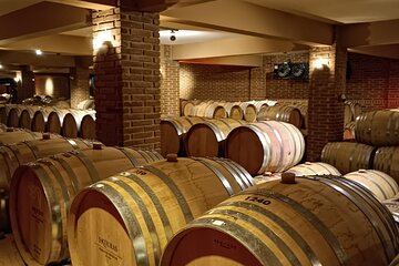 Amazing Wine tasting at Nemea