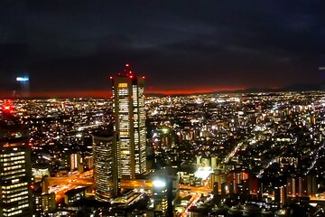 3 Hour Tokyo Roof Bus Tour with a Licensed Guide