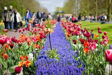 Day Trip To Tulip Gardens Of Keukenhof From Amsterdam: Private & Personalized