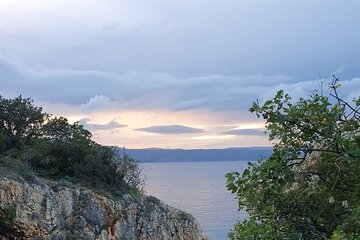 Coastal hiking tour with biologist guide 