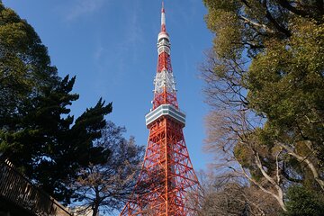 2 Hour Top 3 Hidden Tokyo Tower Photo Spots and Local Shrine Tour