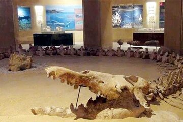 Day Tour to Fayoum from Cairo