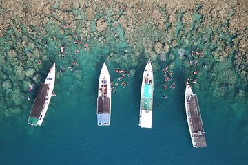 Snorkeling and Island Hopping Tour in Karimunjawa (sharing tour)