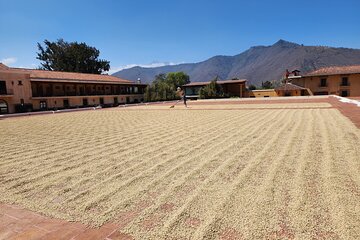 ATV or UTV Coffee Tour in Antigua Guatemala