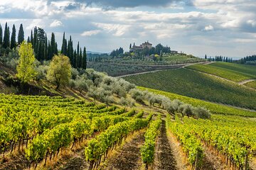 Chianti Wine Tour - Private Wine experience in Tuscany Countryside