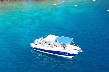 4 Hour Private Charter in Kona