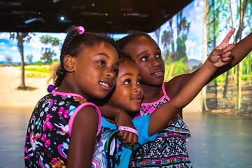 Las Vegas Select Pass: Madame Tussauds, Illuminarium and PaniQ