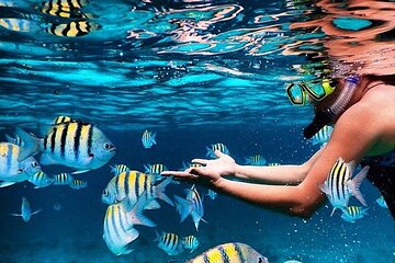 Family Fun-Snorkeling Activity in Montego Bay W/Lunch Stop