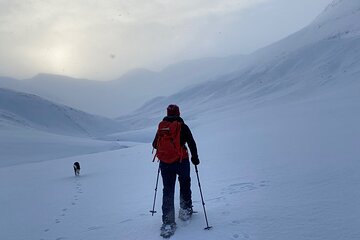 Snowshoeing Experience and Storytelling in Héðinsfjörður