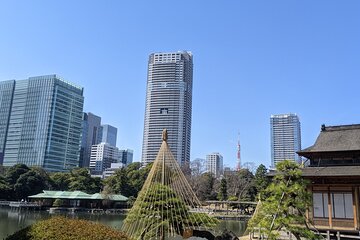 Tsukiji & Hamarikyu Gardens Wellness Tour – Walk, Relax & Lunch