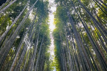 Traversing Kyoto's Scenic West - Arashiyama to Kinkakuji