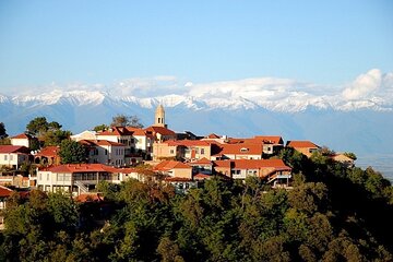 PrivateTour Kakheti Region,Bodbe Monastery,Wine Tasting,Sighnaghi
