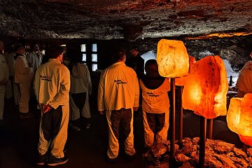 Private guided tour from Vienna to Hallstatt with Skywalk & Salt Mine Experience