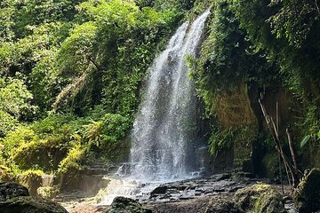 Tirta Empul & East Ubud Tour Scenic Journey 