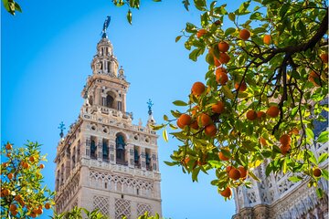 Seville: Cathedral & Giralda Guided Tour with Tickets 