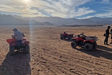 Quad riding and camel ride in Sharm El-Sheikh