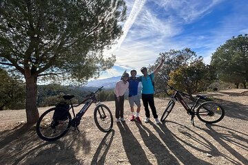 Montes of Málaga E-bike Tour