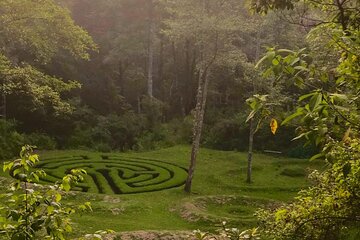 Hike in pristine Forest, a view from above Atitlan