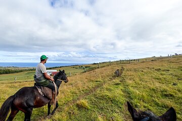 Terevaka Private Tour to the highest point of Rapa Nui