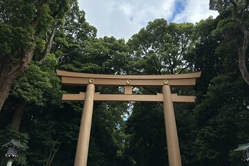 3 Hour Private Tokyo Meiji Jingu Shrine Wellness Tour