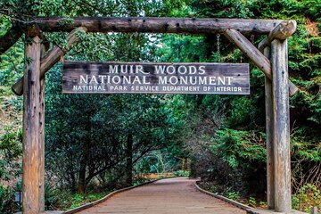  Private Walking Tour in Muir Woods and Tickets 