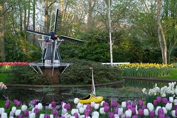Blooming Beauty: Exploring Haven of Colors at Keukenhof Gardens